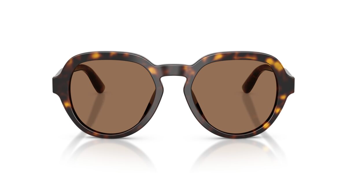 Dolce & Gabbana DG4567 502/73
