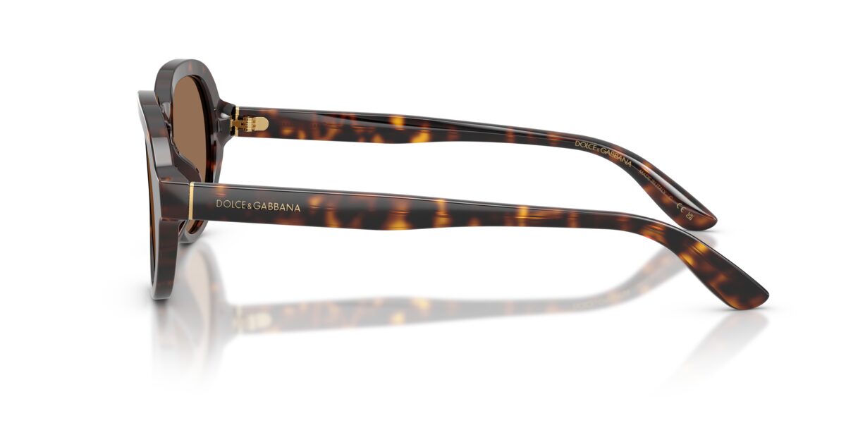 Dolce & Gabbana DG4567 502/73