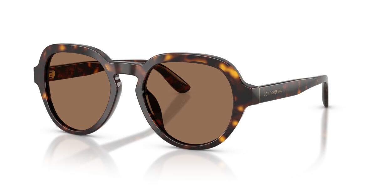 Dolce & Gabbana DG4567 502/73