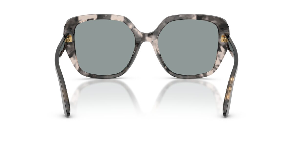 Dolce & Gabbana DG4569 3172/1