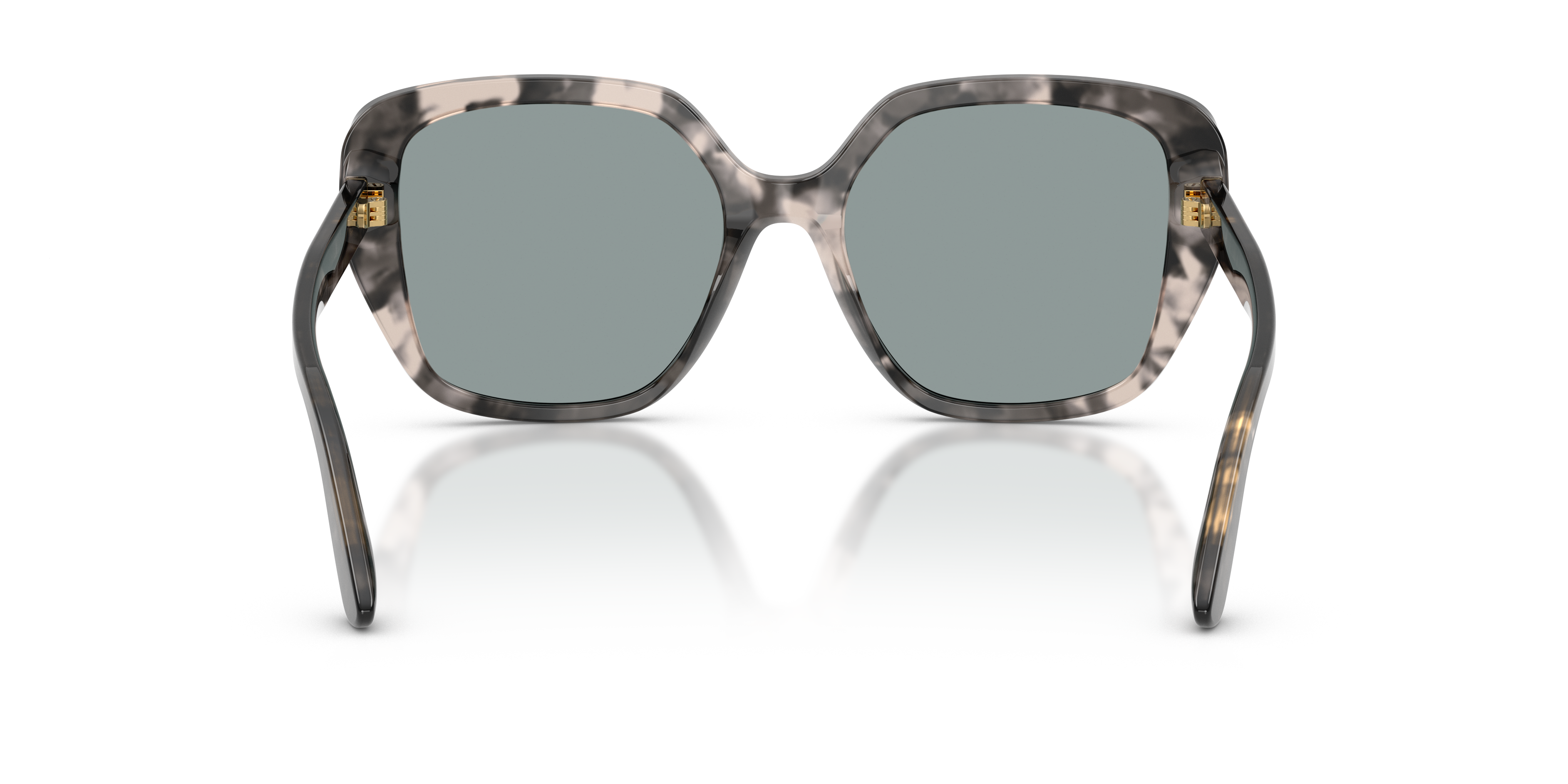 Dolce & Gabbana DG4569 3172/1