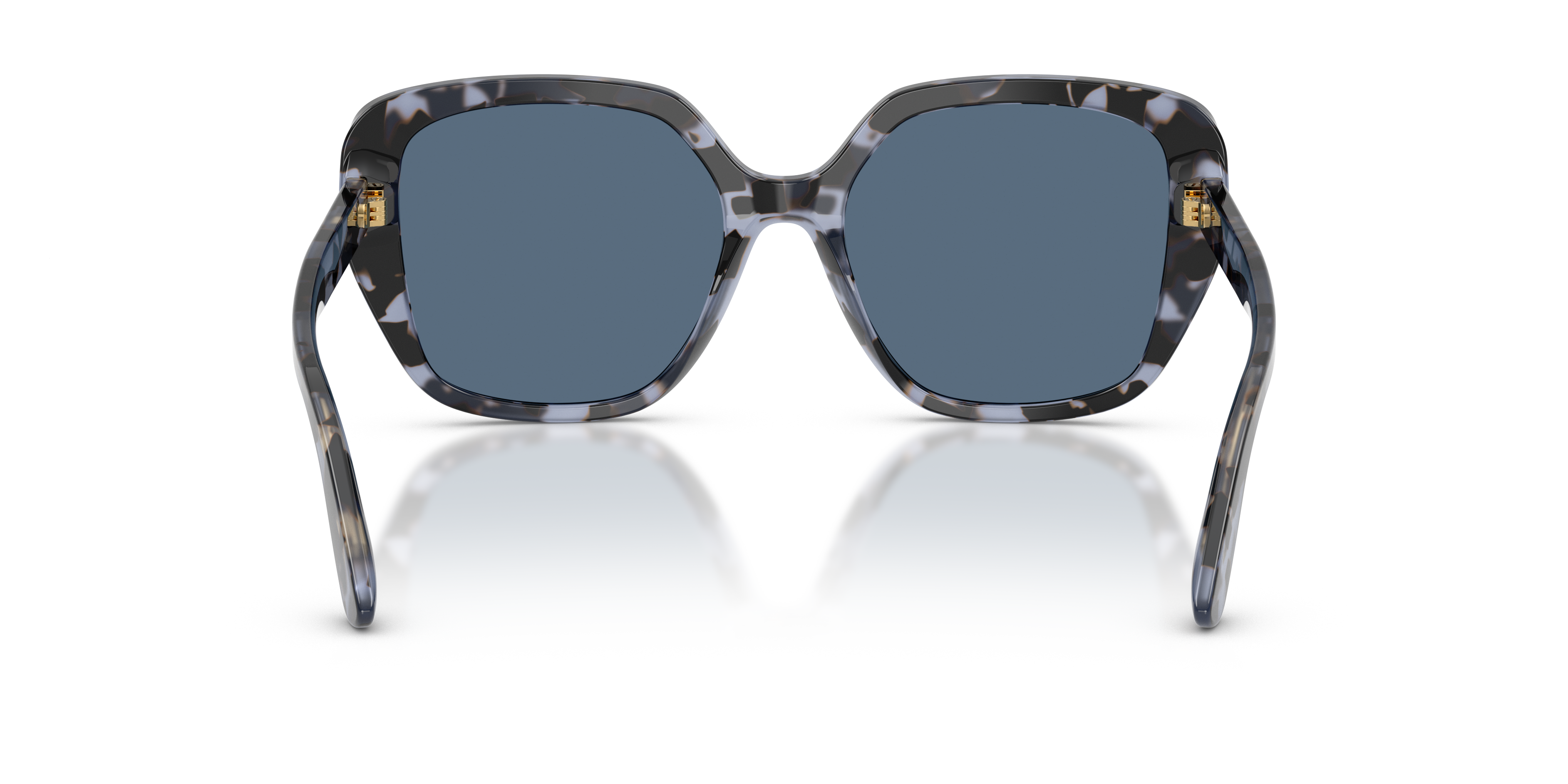 Dolce & Gabbana DG4569 344380