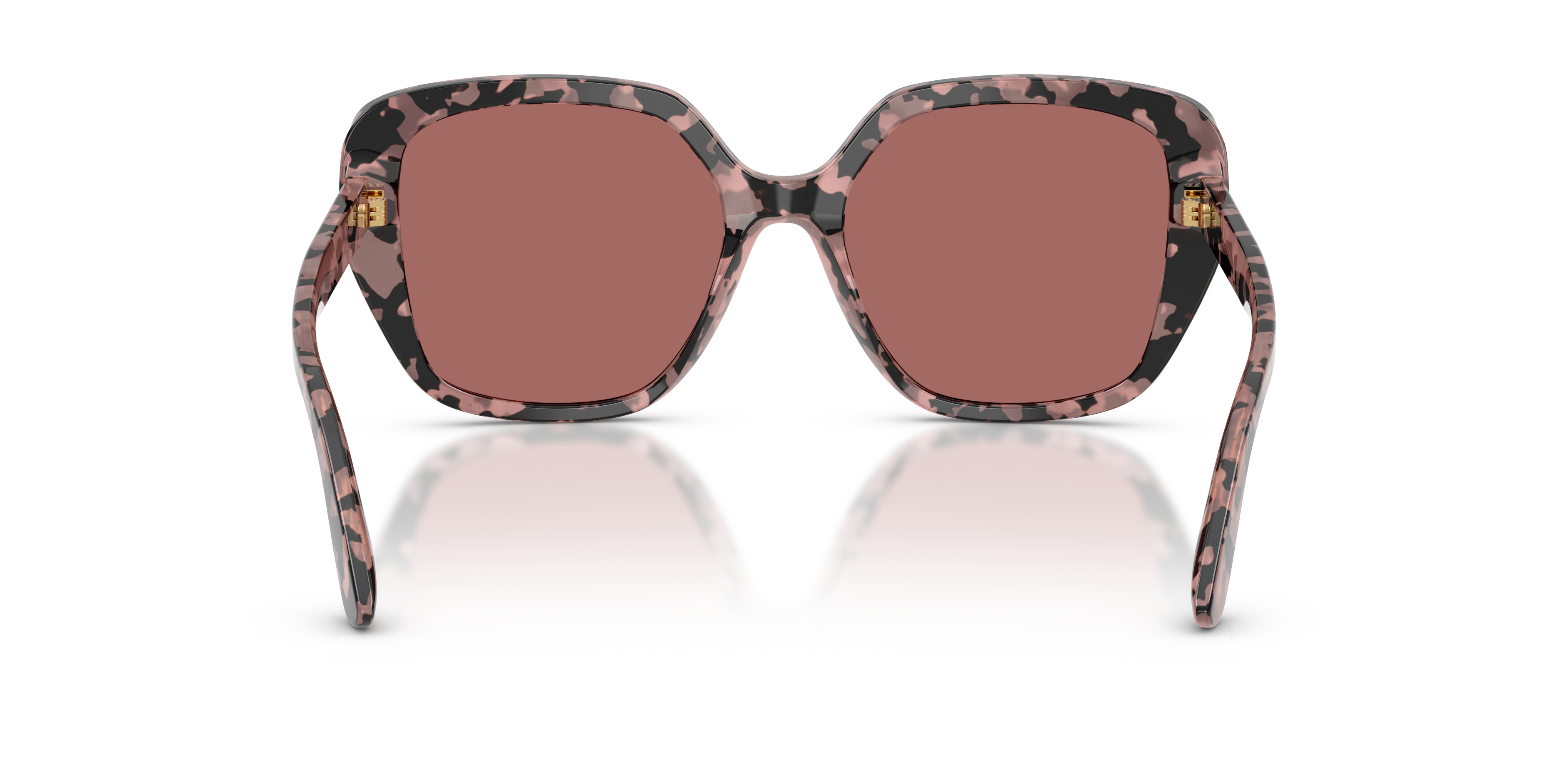 Dolce & Gabbana DG4569 347669