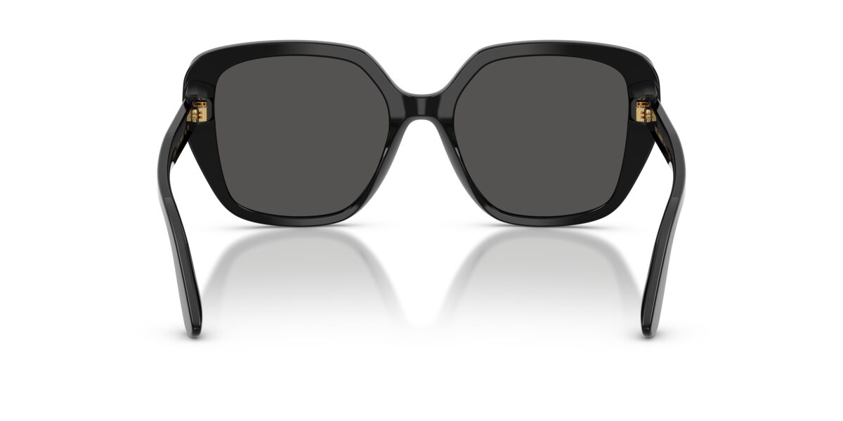 Dolce & Gabbana DG4569 501/87