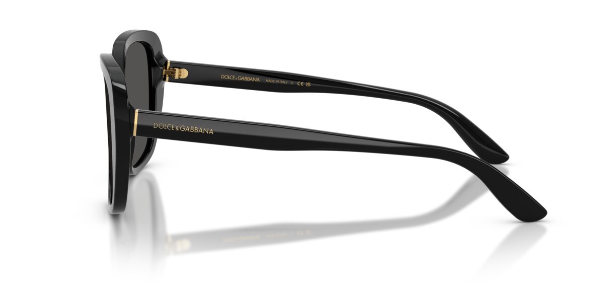 Dolce & Gabbana DG4569 501/87