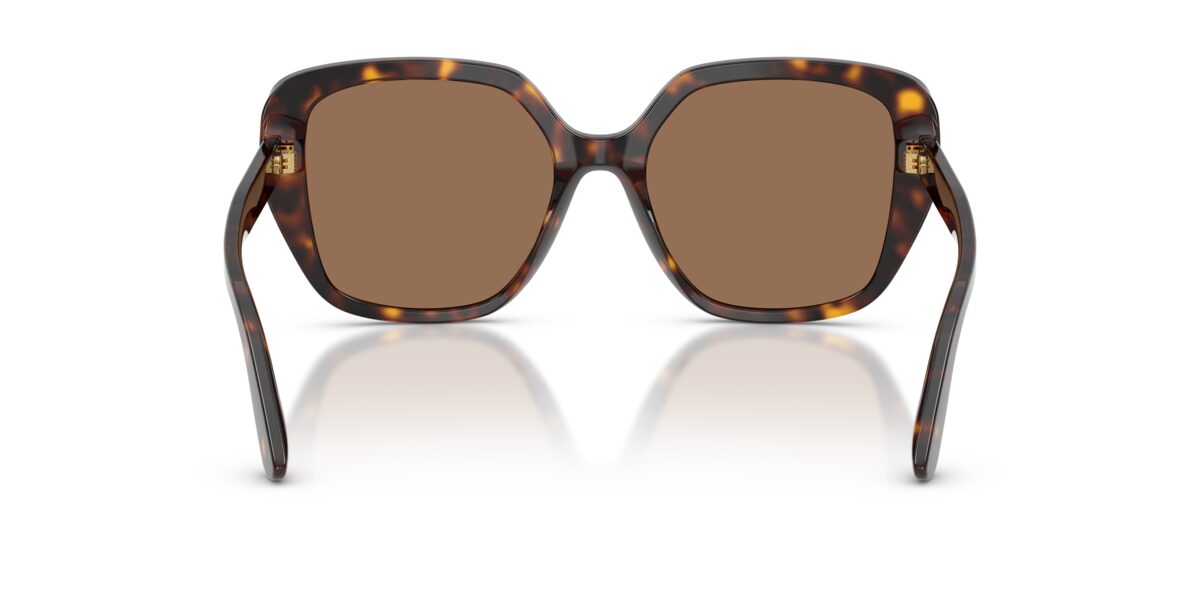 Dolce & Gabbana DG4569 502/73