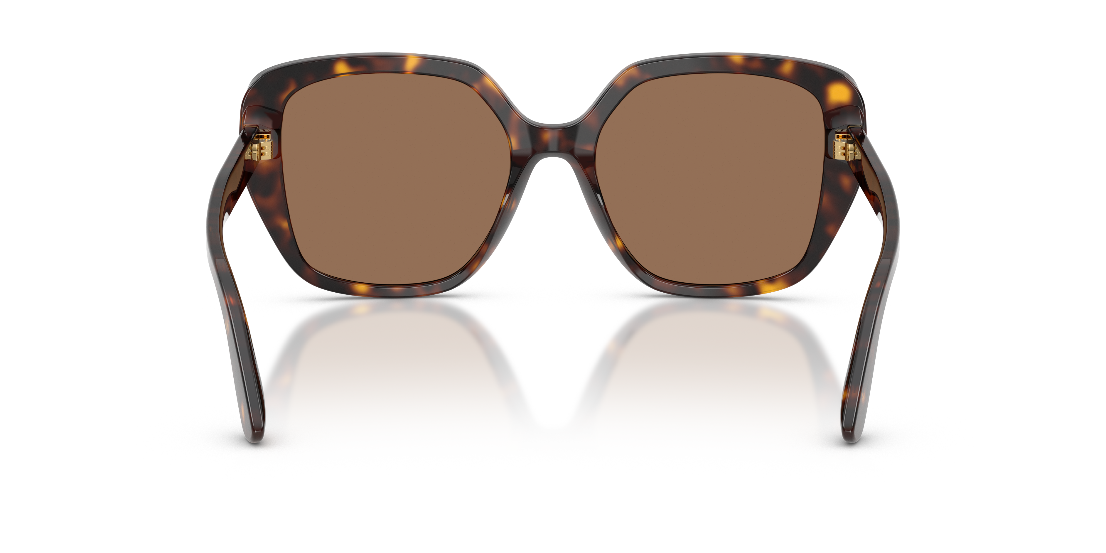 Dolce & Gabbana DG4569 502/73