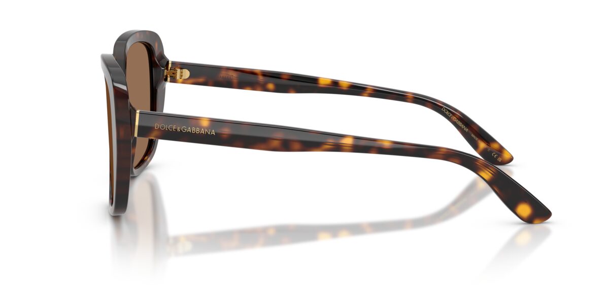 Dolce & Gabbana DG4569 502/73