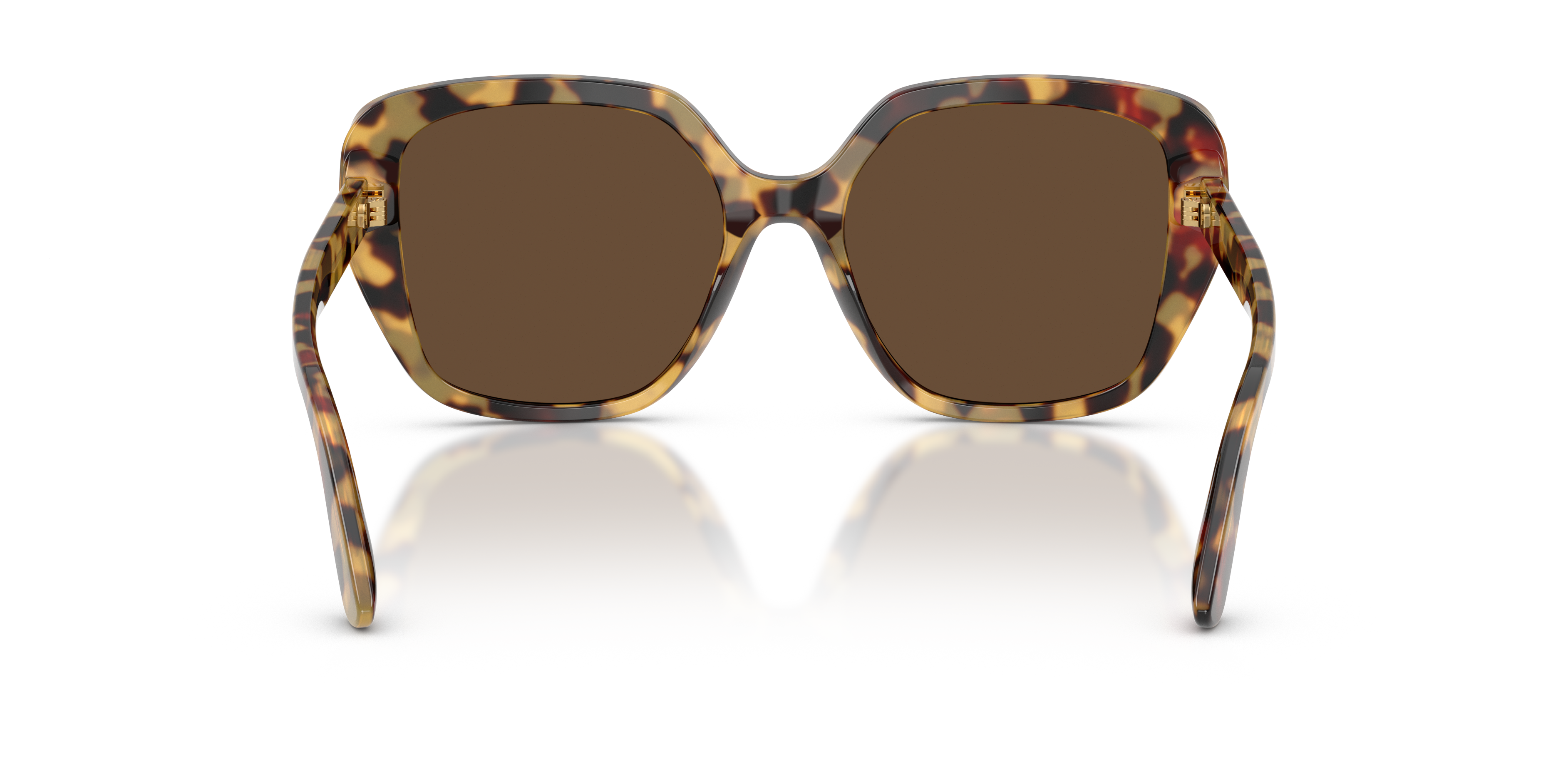 Dolce & Gabbana DG4569 512/73