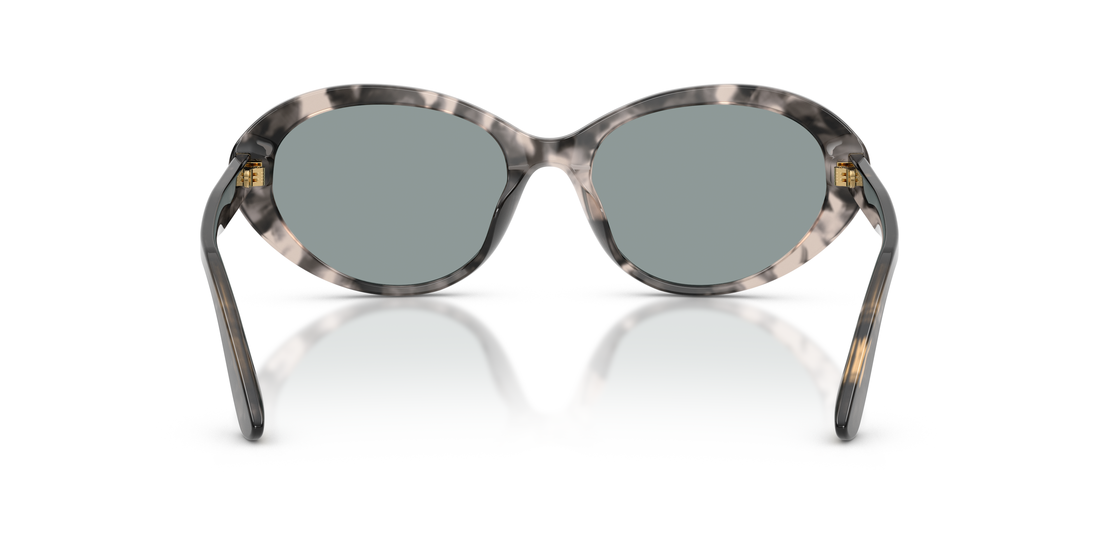 Dolce & Gabbana DG4570 3172/1