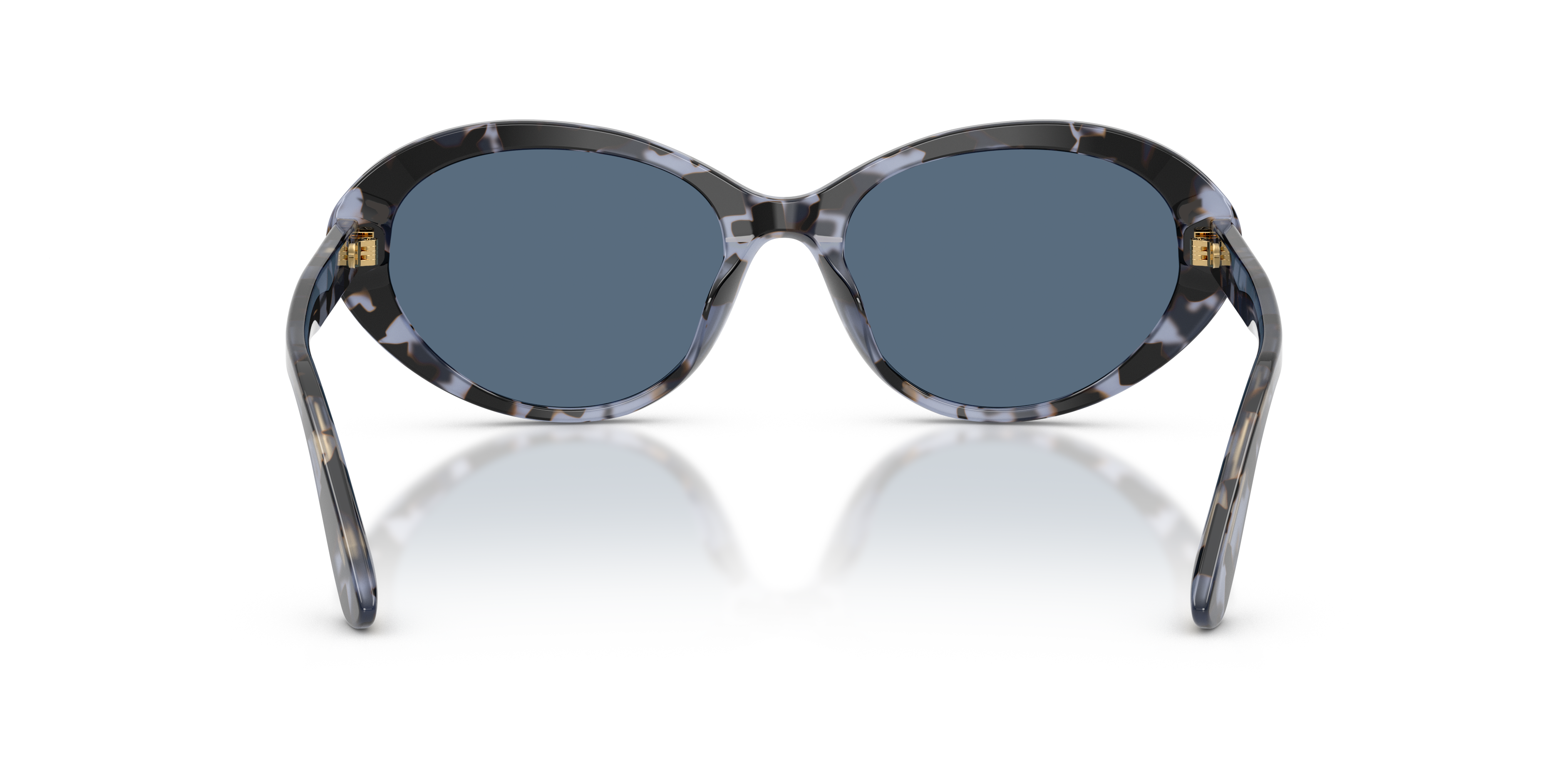 Dolce & Gabbana DG4570 344380