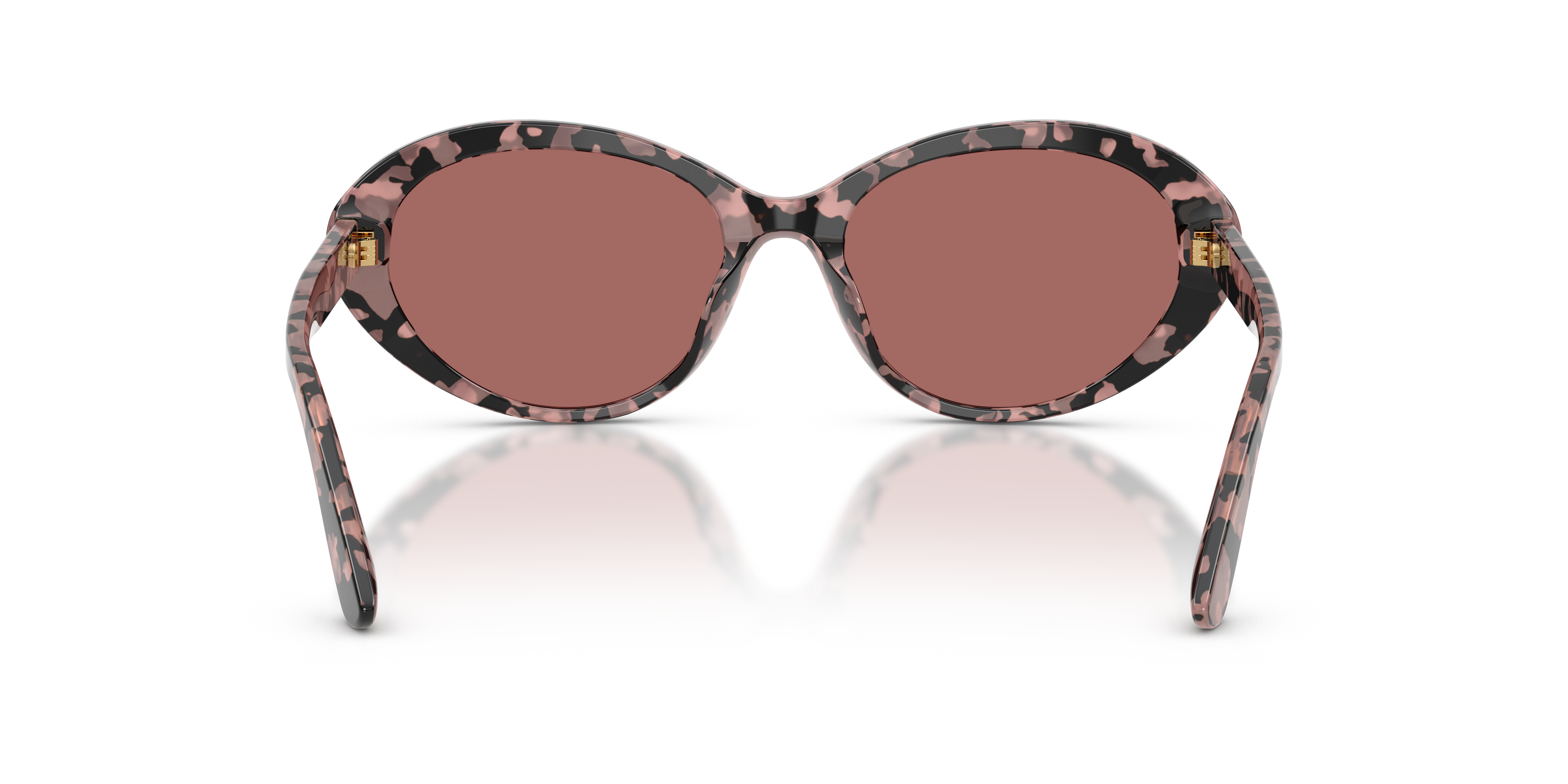 Dolce & Gabbana DG4570 347669