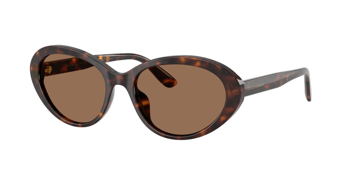 Dolce & Gabbana DG4570 502/73