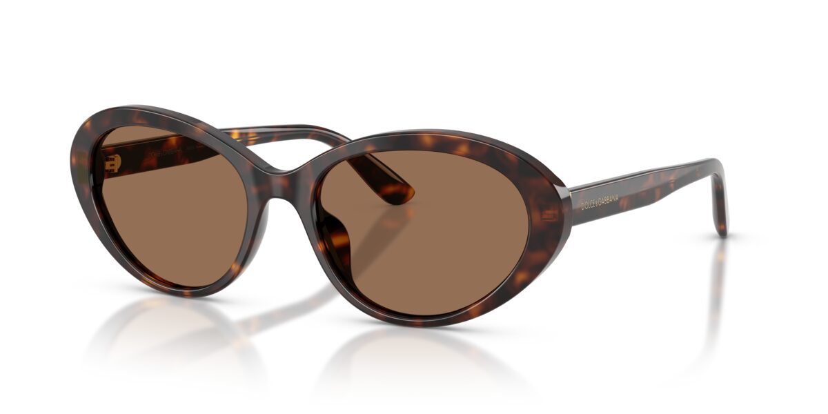 Dolce & Gabbana DG4570 502/73