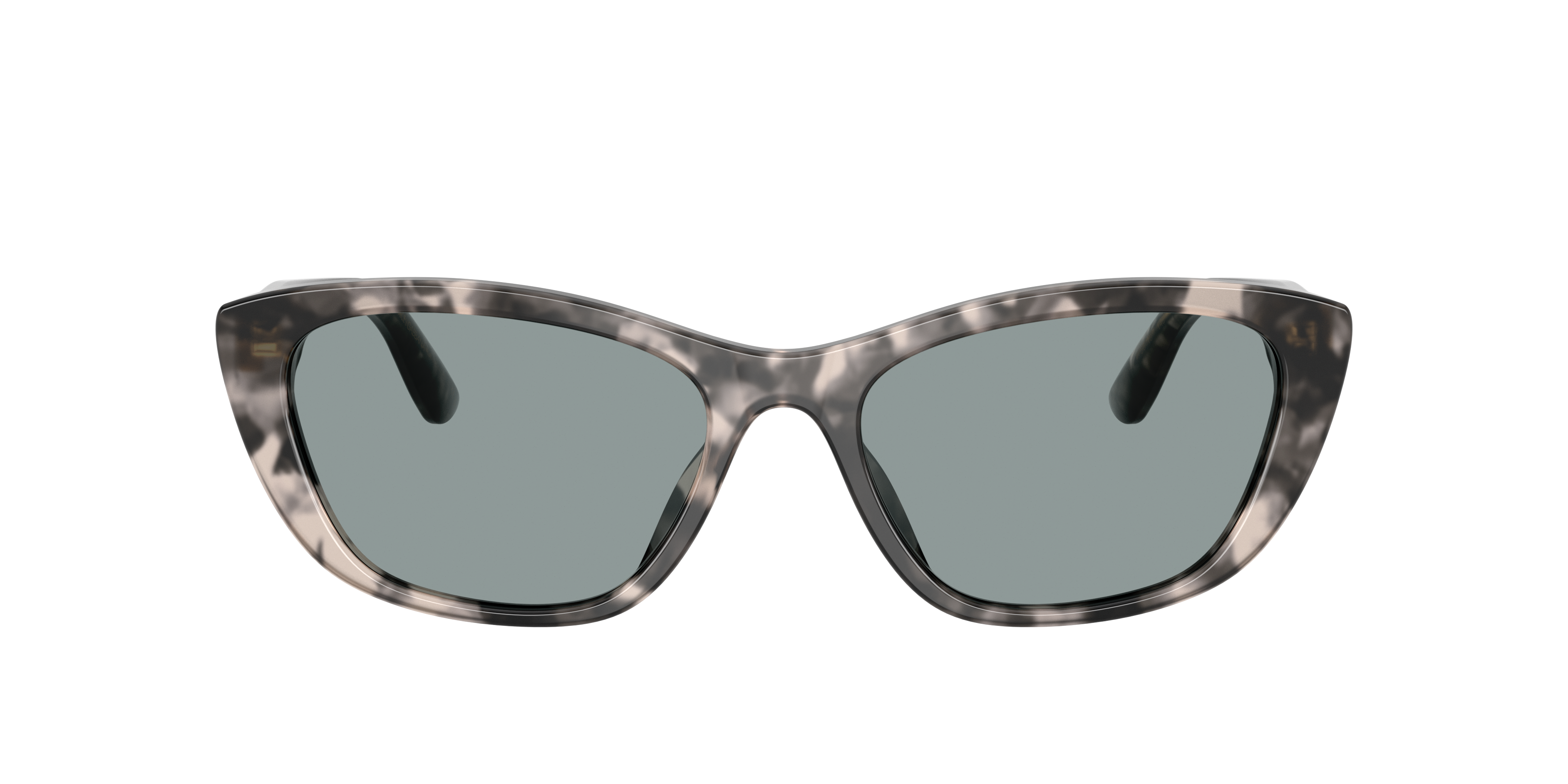 Dolce & Gabbana DG4571 3172/1