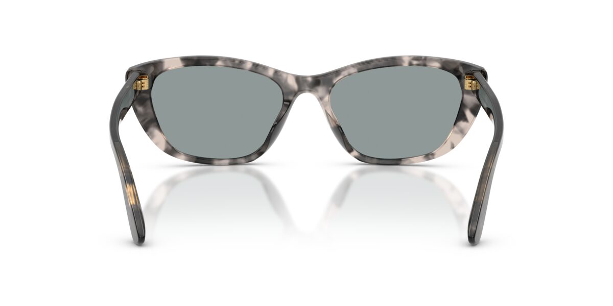 Dolce & Gabbana DG4571 3172/1