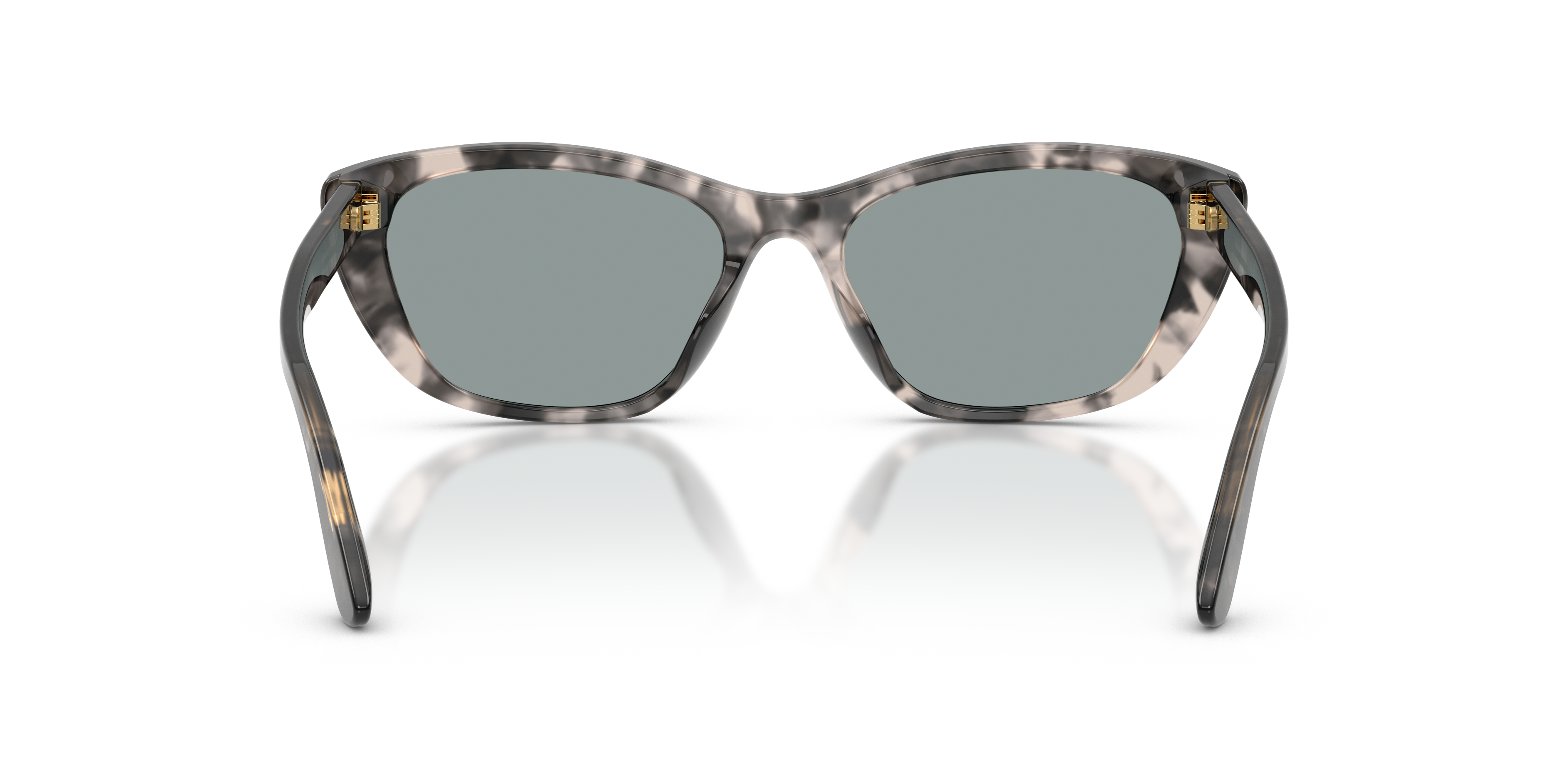 Dolce & Gabbana DG4571 3172/1