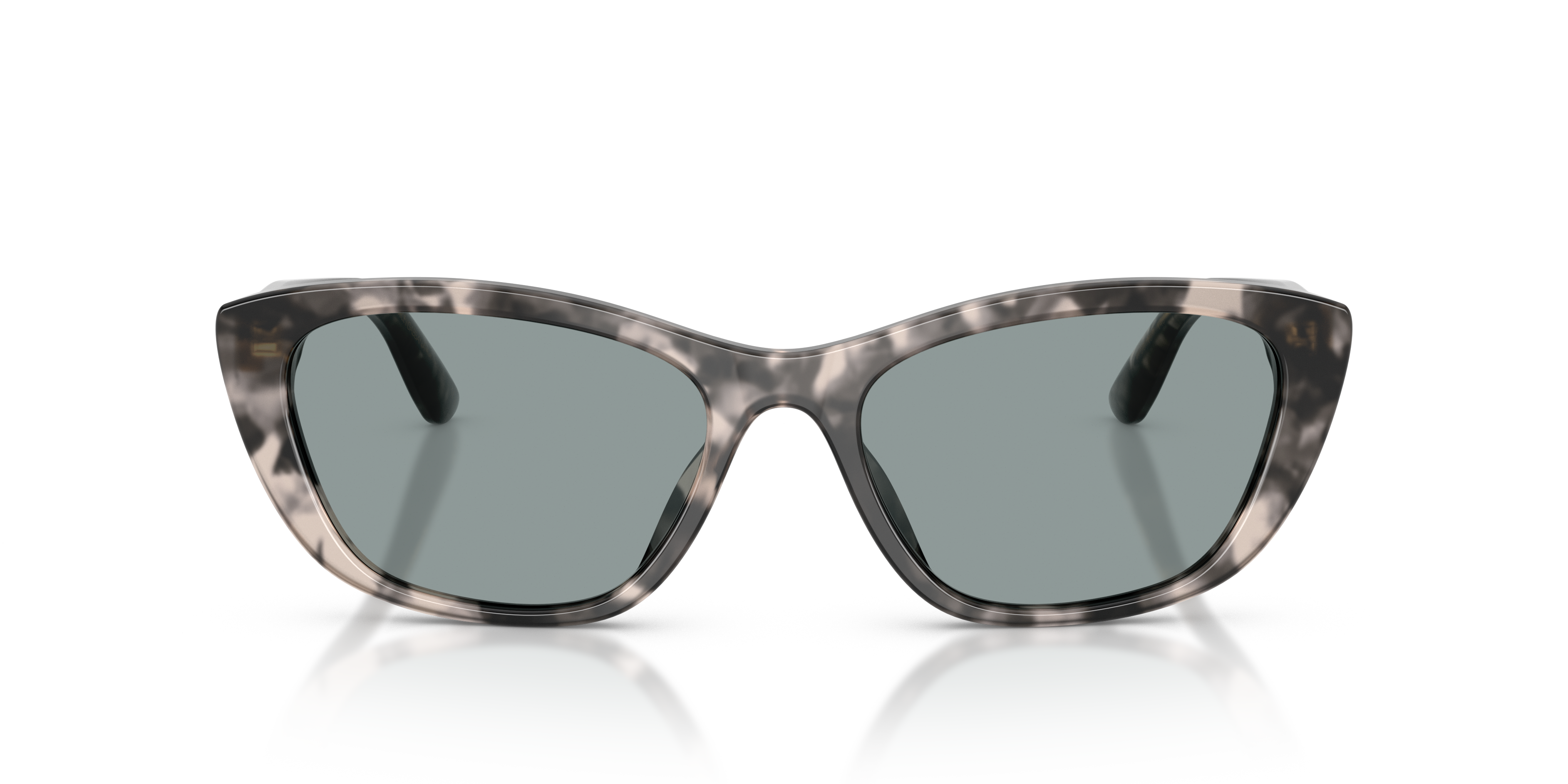 Dolce & Gabbana DG4571 3172/1