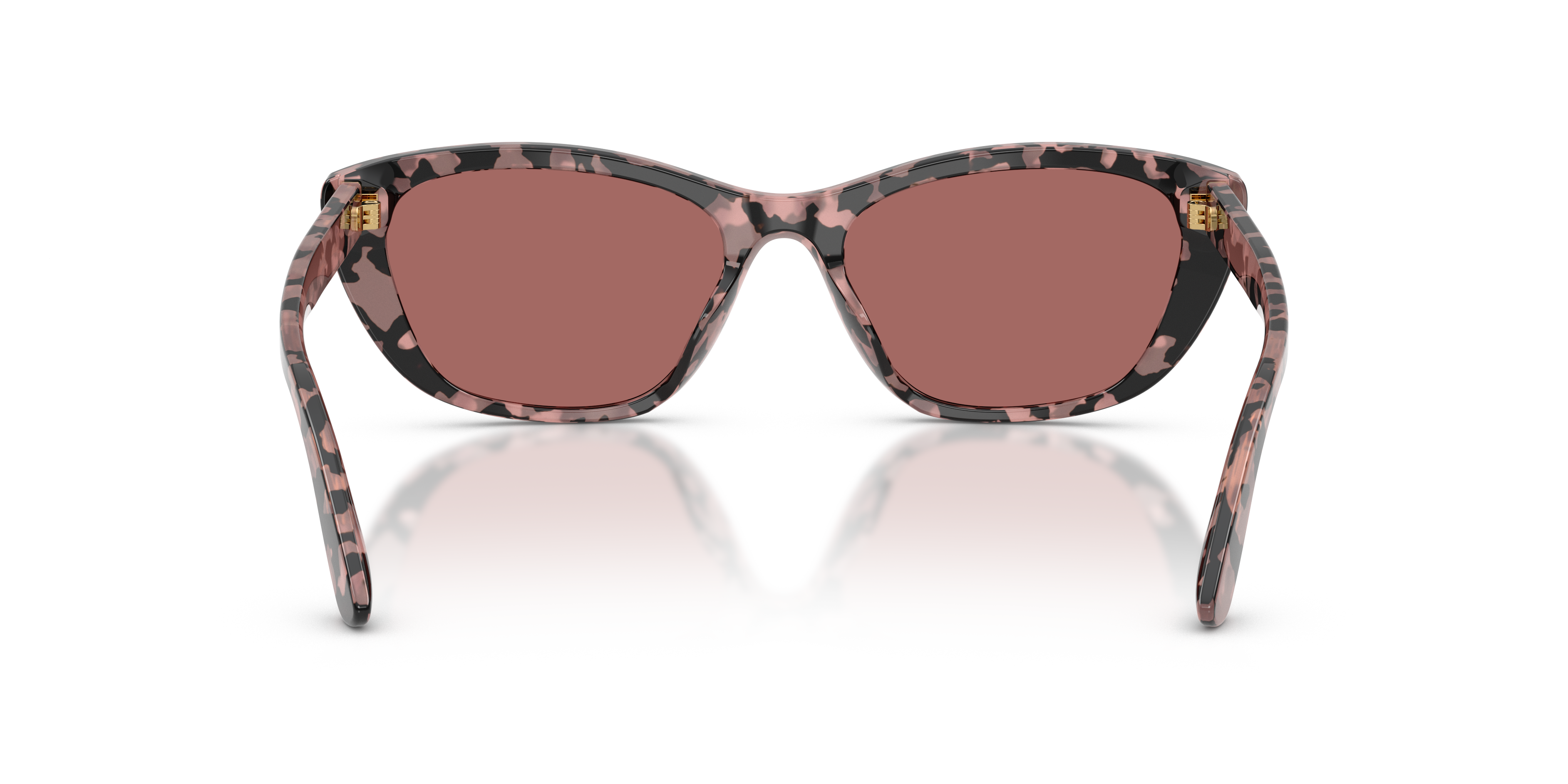 Dolce & Gabbana DG4571 347669