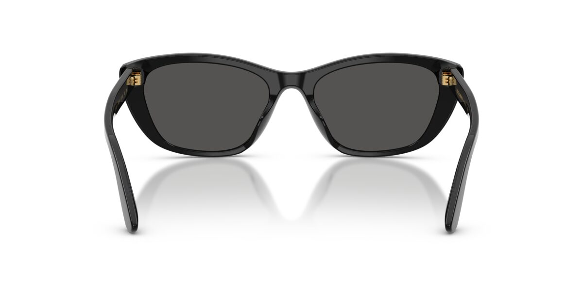 Dolce & Gabbana DG4571 501/87