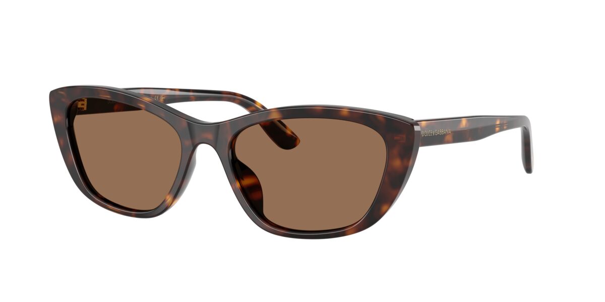 Dolce & Gabbana DG4571 502/73