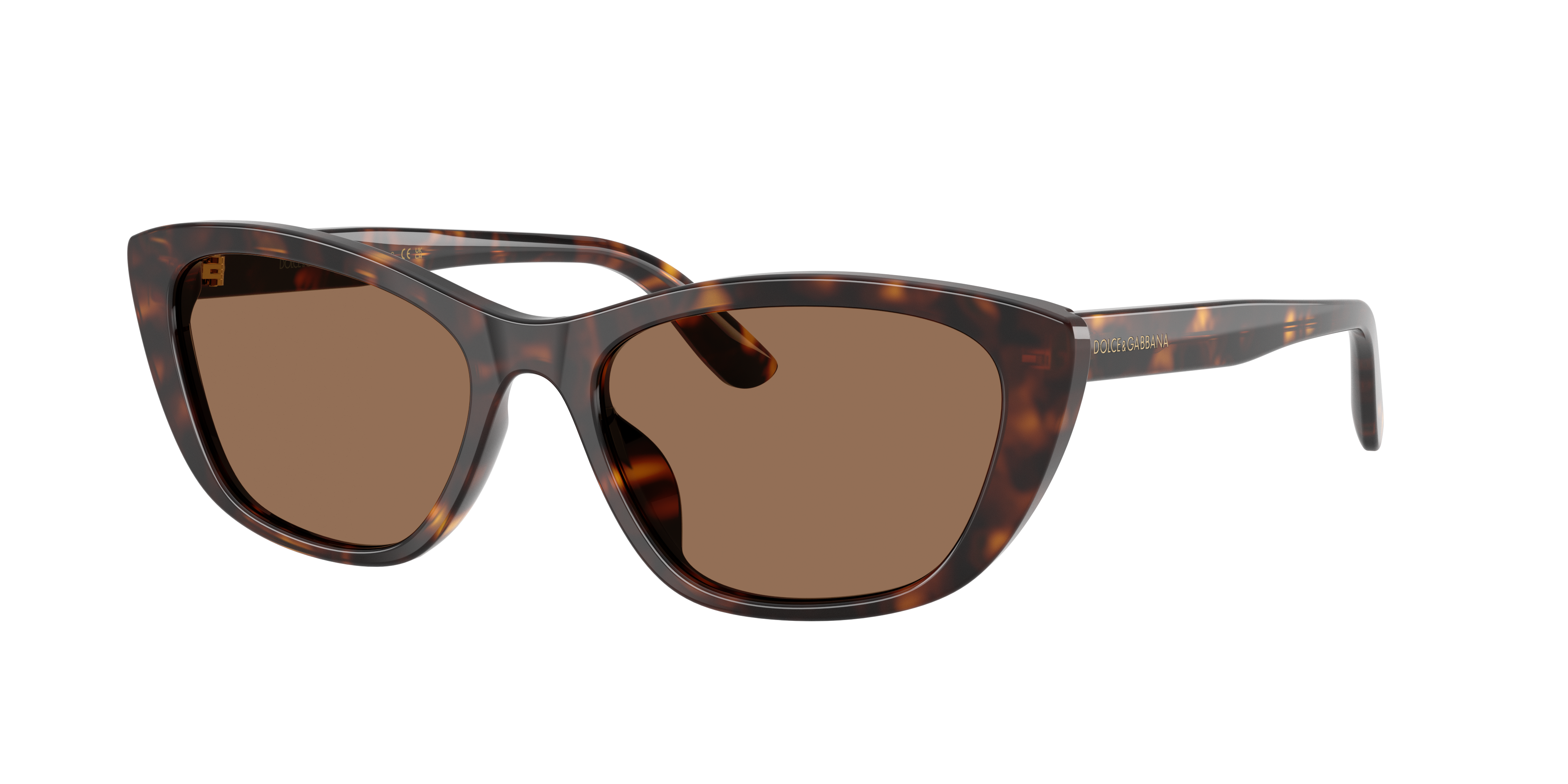 Dolce & Gabbana DG4571 502/73