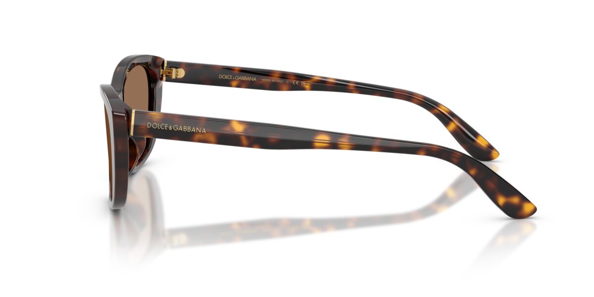 Dolce & Gabbana DG4571 502/73