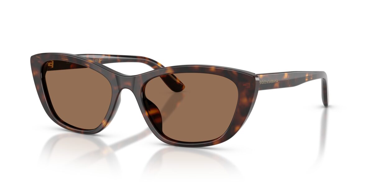 Dolce & Gabbana DG4571 502/73
