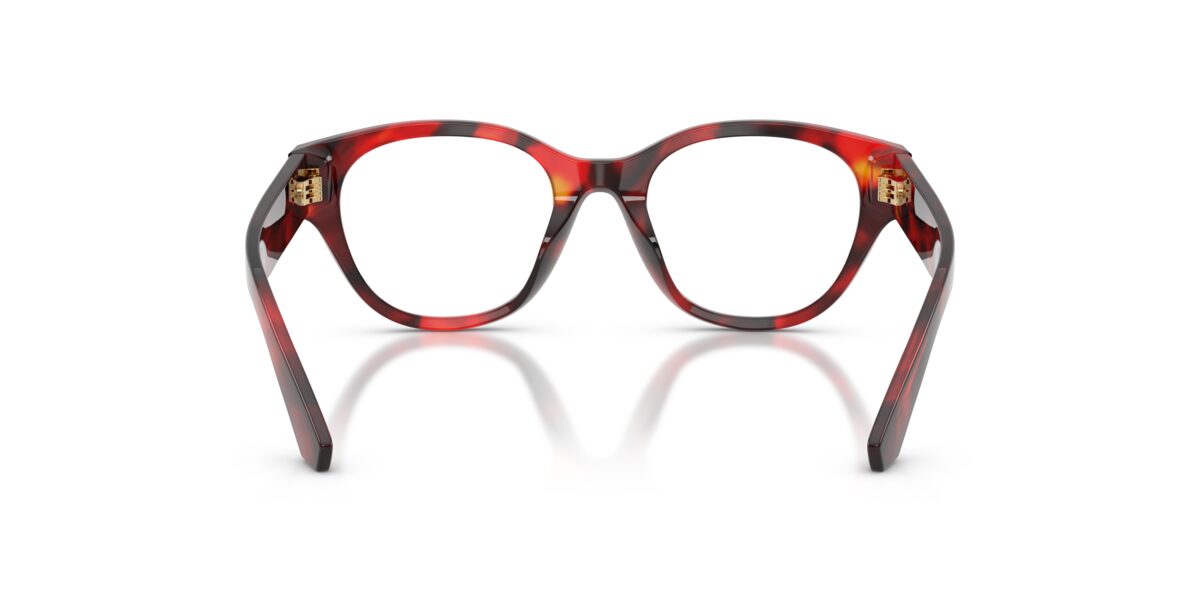 Dolce & Gabbana DX3004 3491