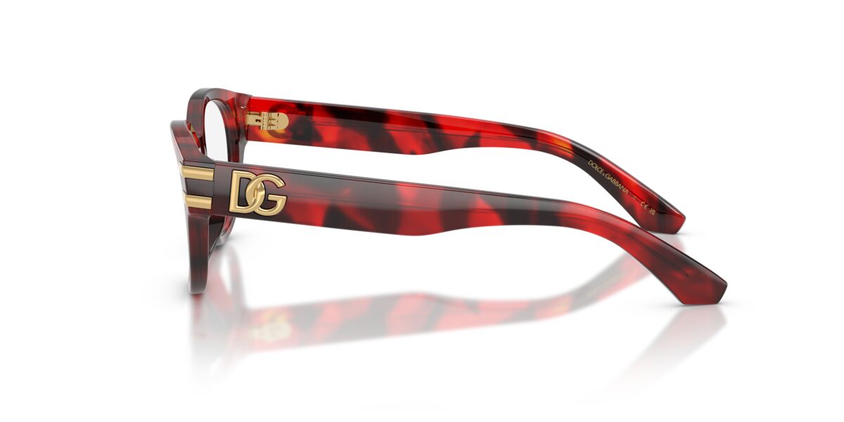 Dolce & Gabbana DX3004 3491