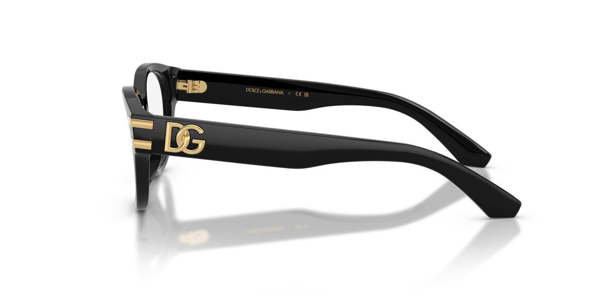 Dolce & Gabbana DX3004 501