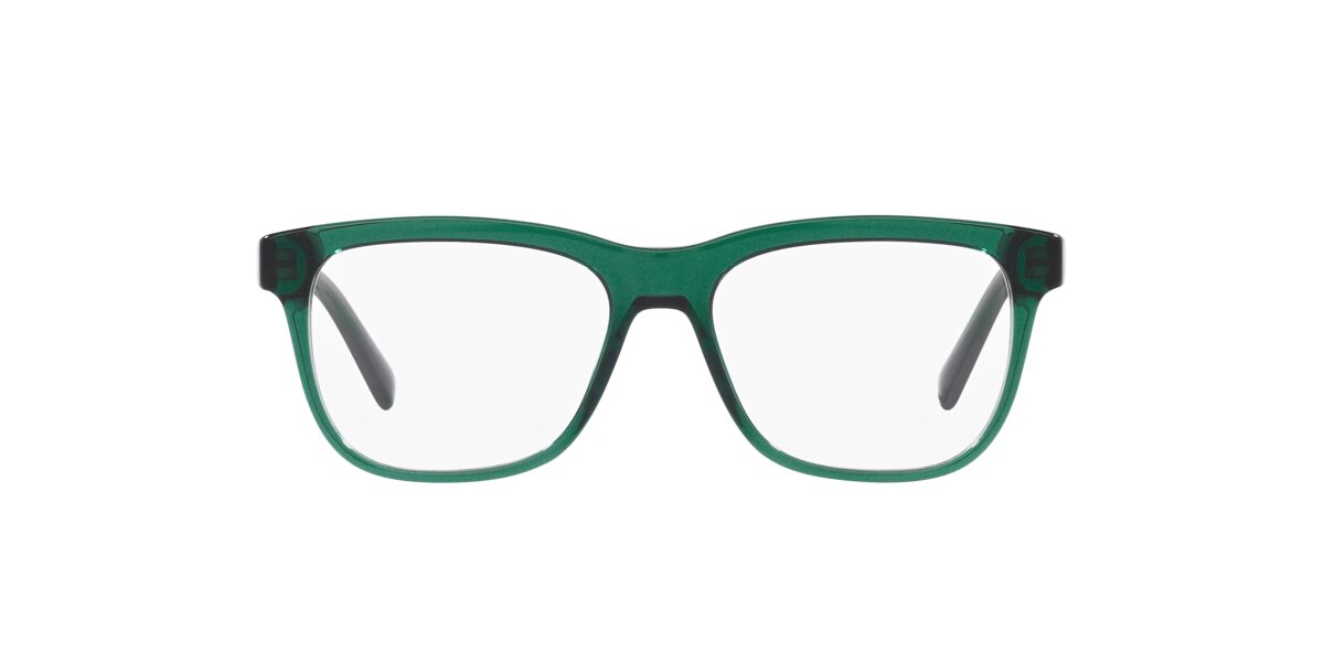 Dolce & Gabbana DX3356 3008