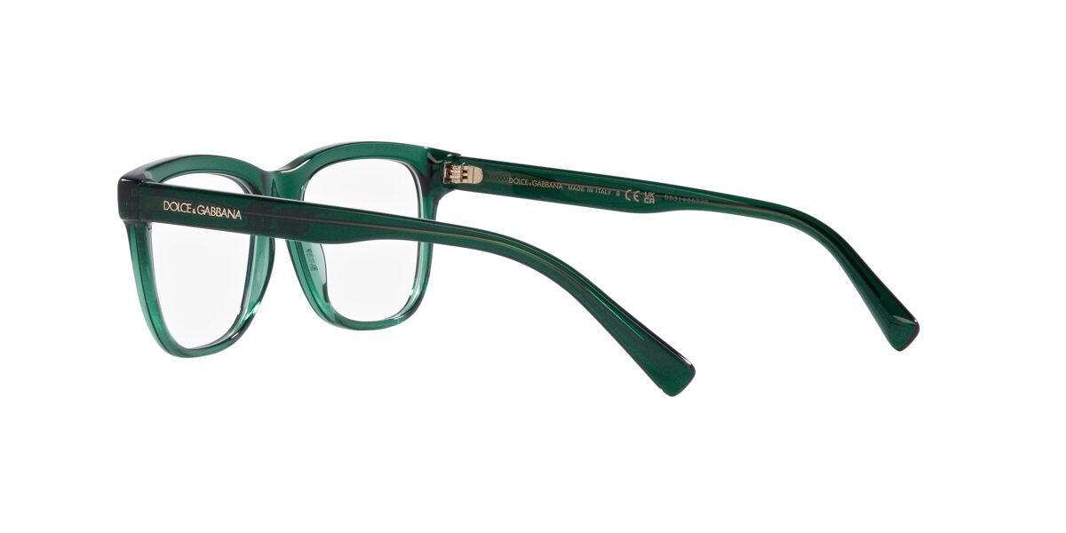 Dolce & Gabbana DX3356 3008