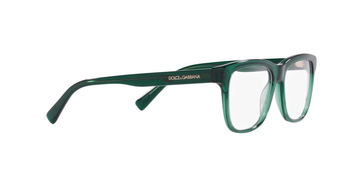 Dolce & Gabbana DX3356 3008