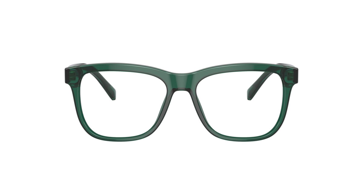 Dolce & Gabbana DX3356 3008