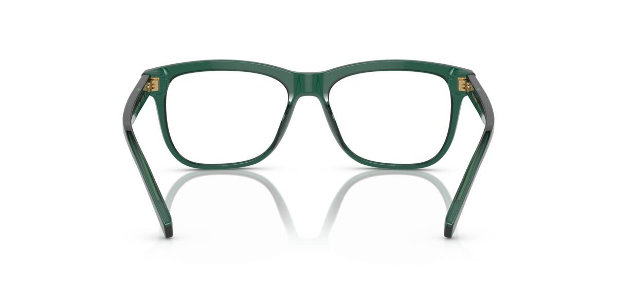 Dolce & Gabbana DX3356 3008