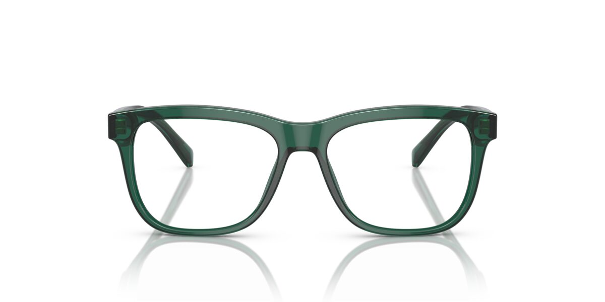 Dolce & Gabbana DX3356 3008