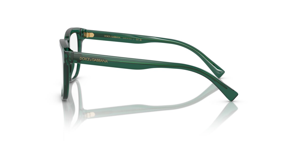Dolce & Gabbana DX3356 3008