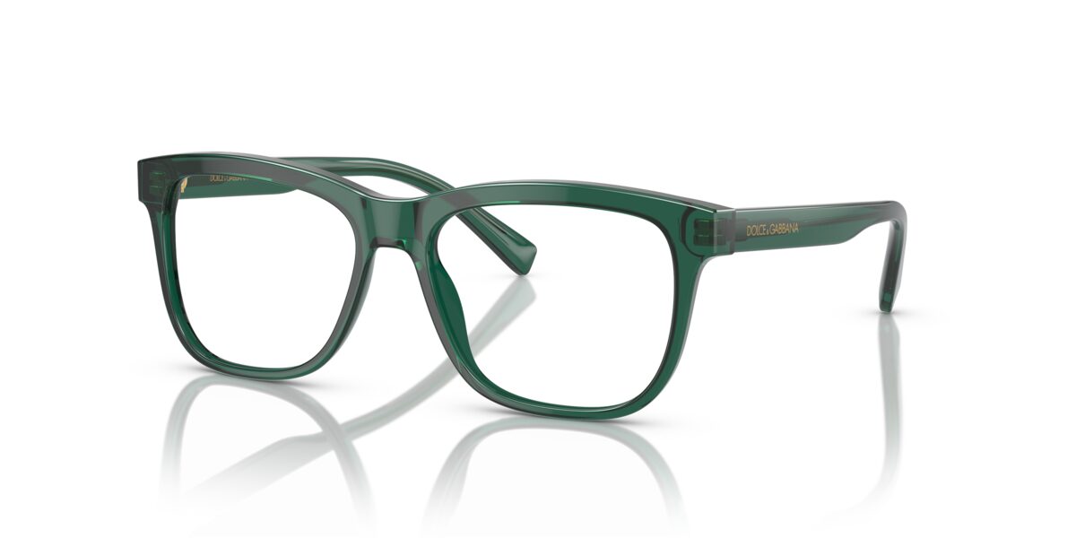 Dolce & Gabbana DX3356 3008
