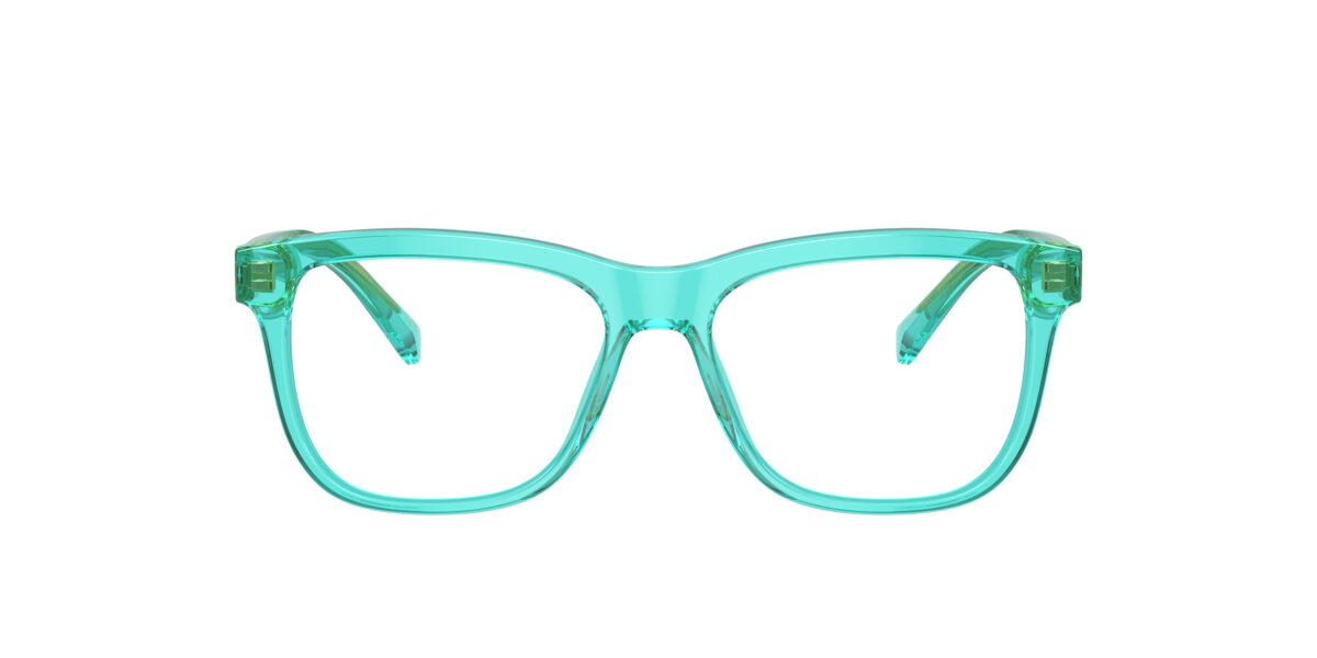 Dolce & Gabbana DX3356 3322