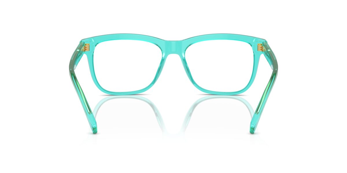 Dolce & Gabbana DX3356 3322