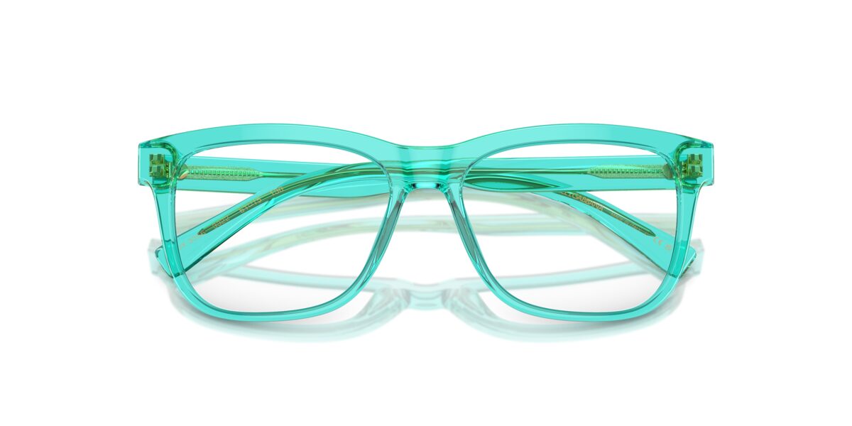 Dolce & Gabbana DX3356 3322