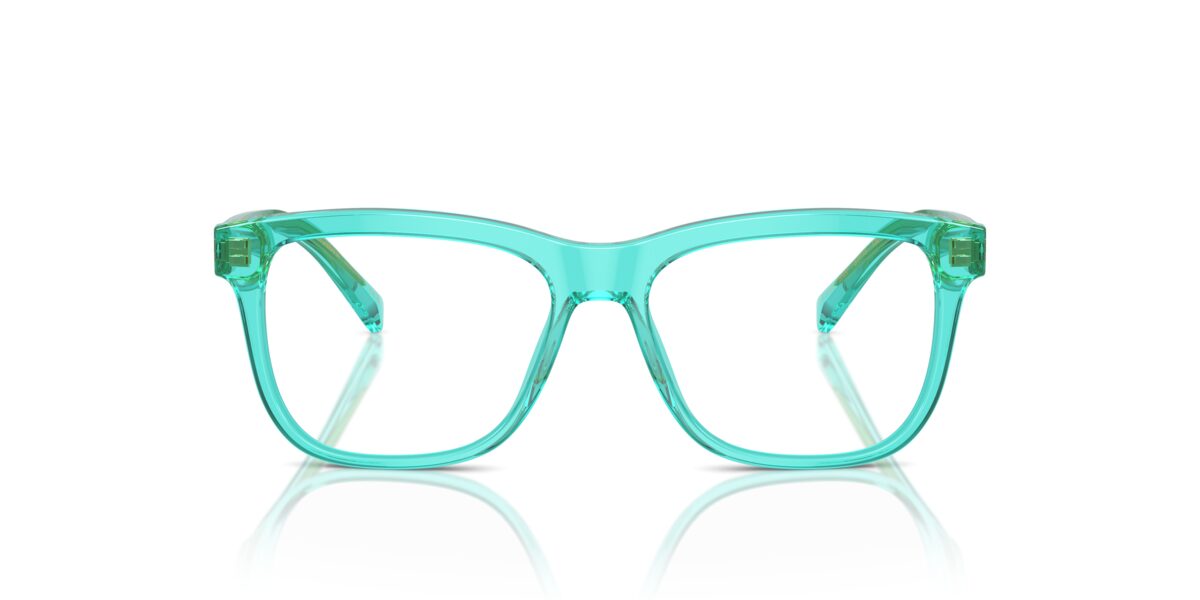 Dolce & Gabbana DX3356 3322