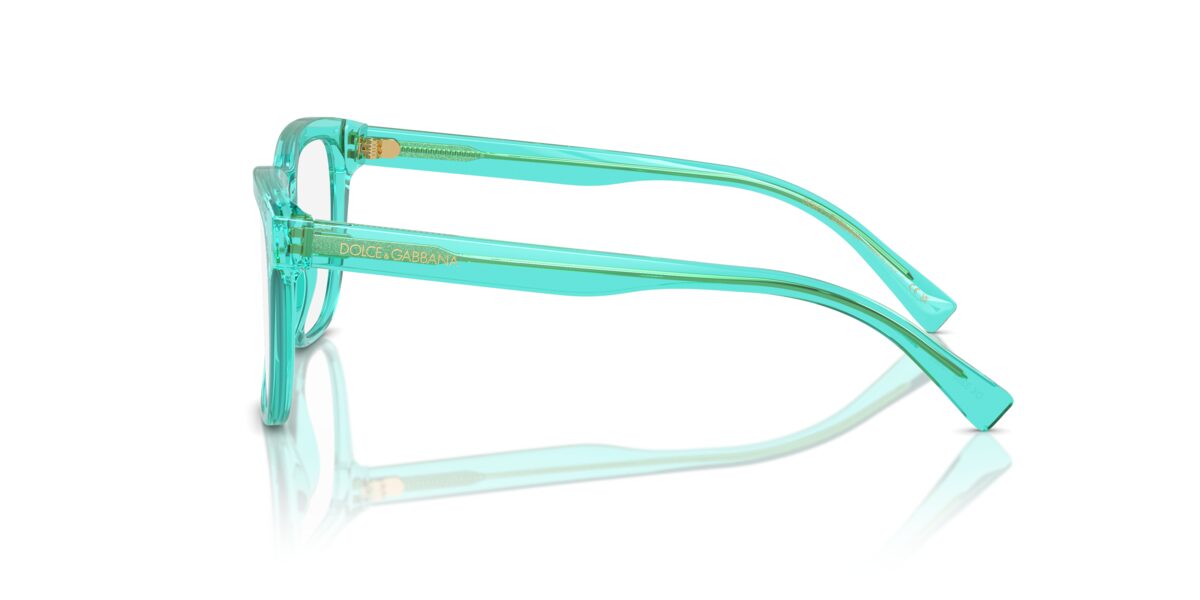 Dolce & Gabbana DX3356 3322