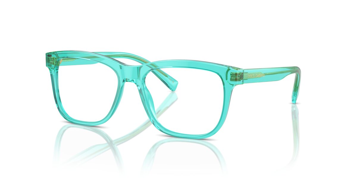 Dolce & Gabbana DX3356 3322