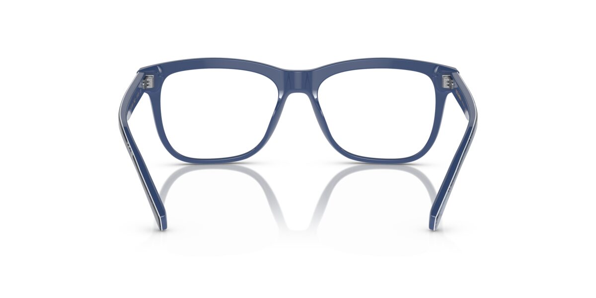 Dolce & Gabbana DX3356 3402