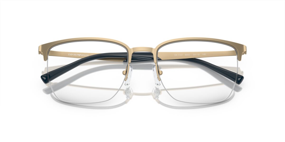 Emporio Armani EA1151 3002