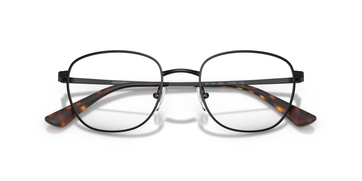 Emporio Armani EA1191 3001