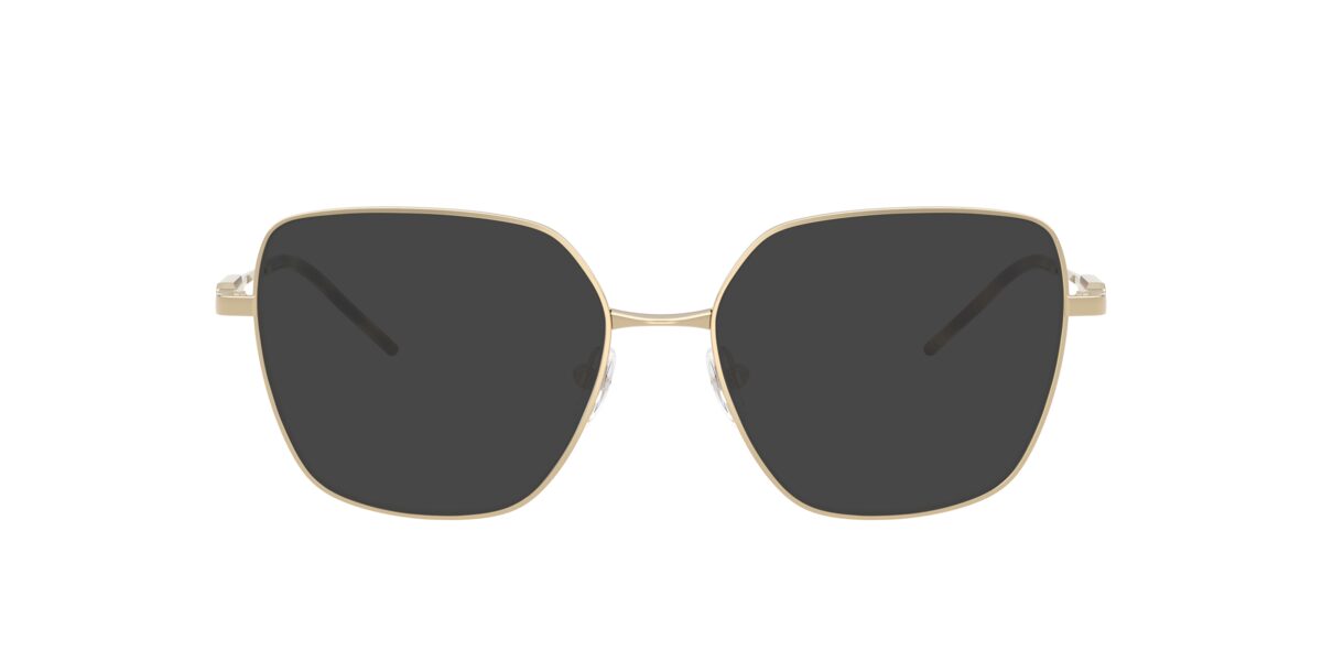Emporio Armani EA1192 3013
