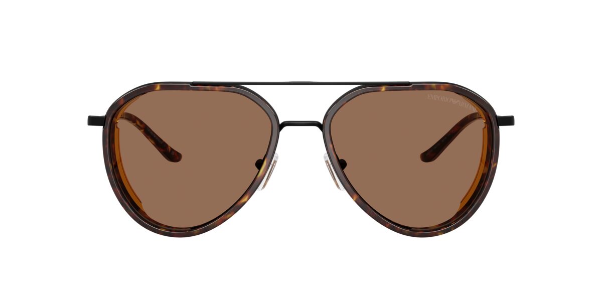Emporio Armani EA2163 300173